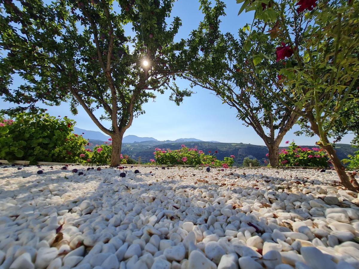 Ornament: Infinite Nature Villa Dhafnes Luaran gambar