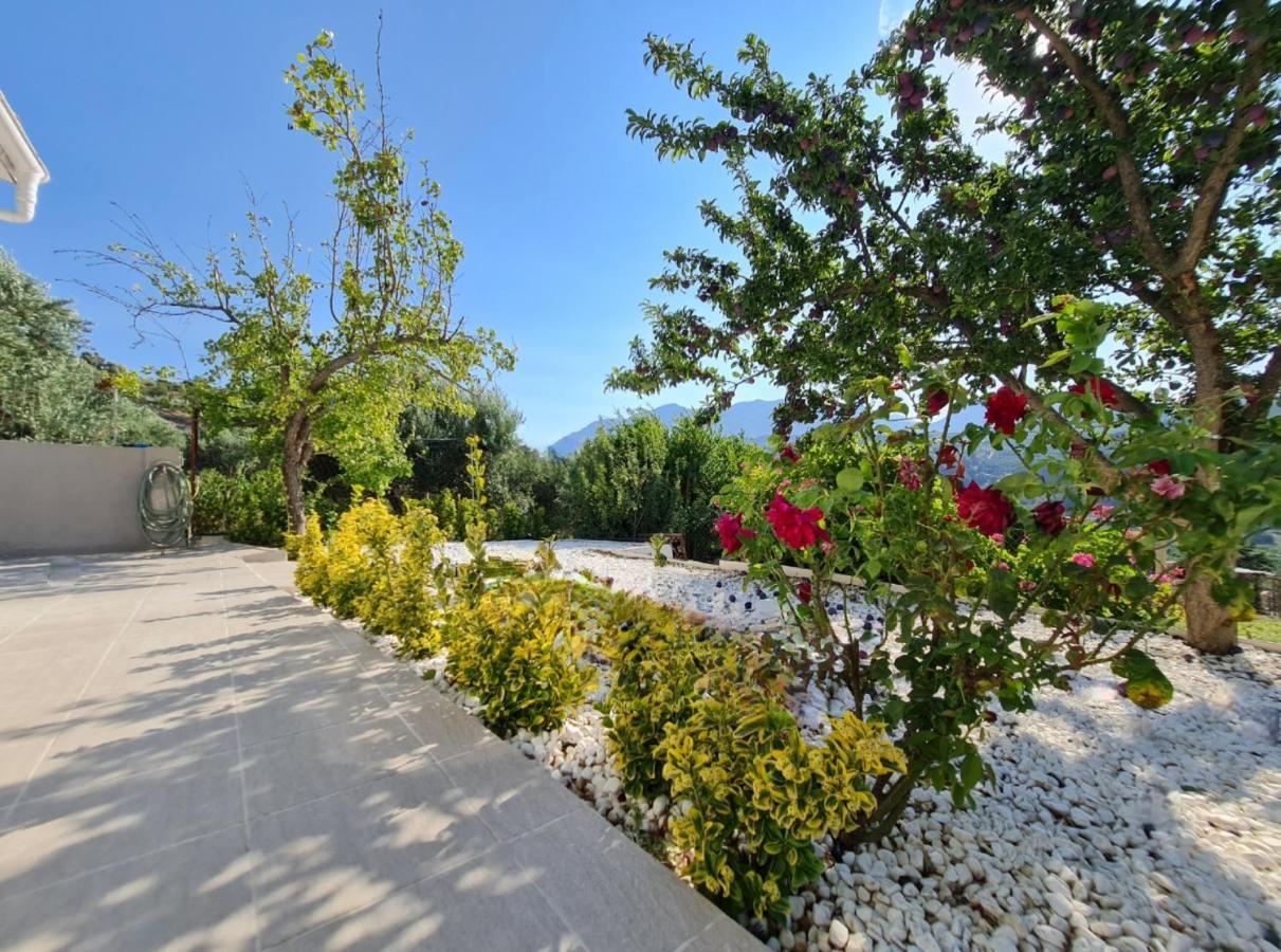 Ornament: Infinite Nature Villa Dhafnes Luaran gambar
